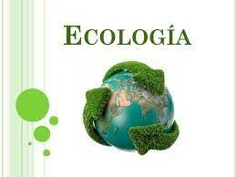 Tema de la ecologia 2000