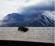 No more bodies are found