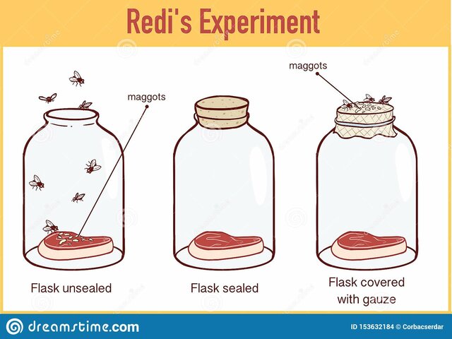 Resolució experiment Redi