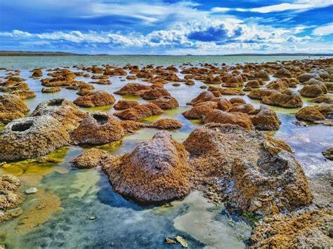Comienzo de la fotosíntesis anoxigénica y primeros posibles fósiles y estromatolitos