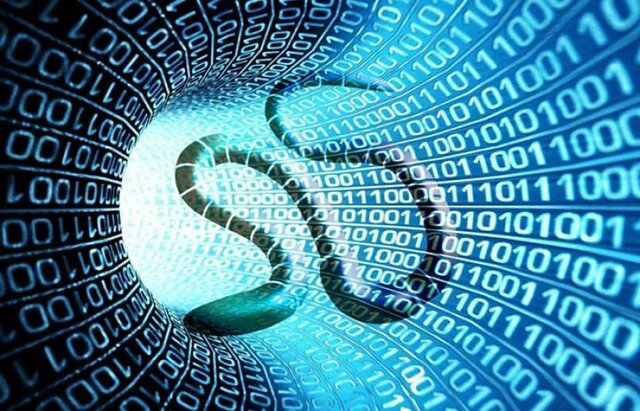 UN GUSANO EN INTERNET