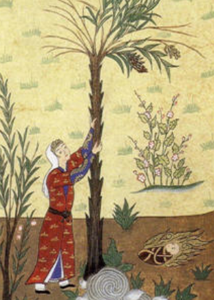 Anunciación del nacimiento de Jesús