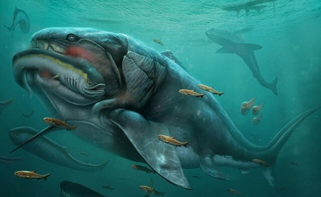 Aparecen los primeros vertebrados