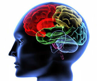 Kertesz, 1983, 1994; Damasio y Damasio, 1989).