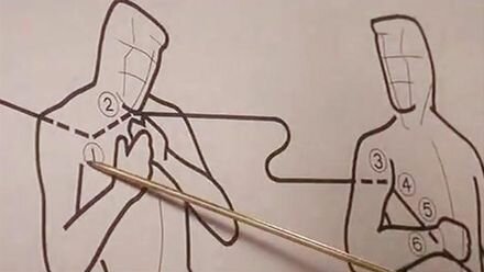 Teoria de la bala mágica