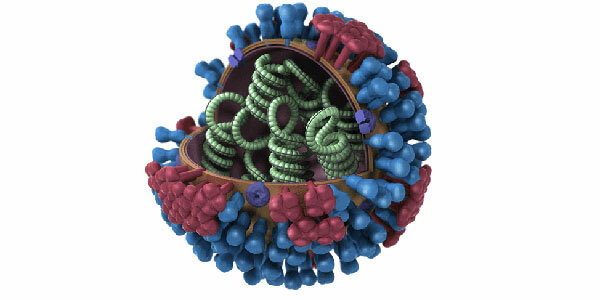 Influenza A