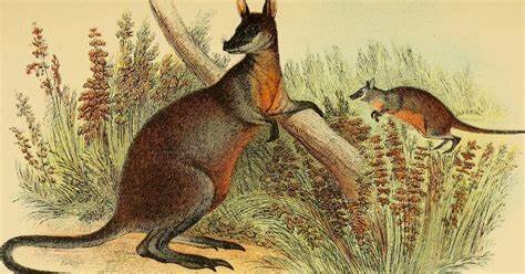 Aparición mamíferos marsupiales, primeras aves, primeras plantas con flores