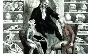 AUMENTO  DE CONCEPCIONES SOBRE LA BIOLOGíA, MEDICINA Y LA FARMACOLOGÍA - SIGLO XX