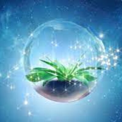 Timeline: Origen de la vida-teorías