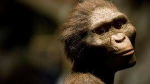 Última abuela común de humanos y chimpancés.