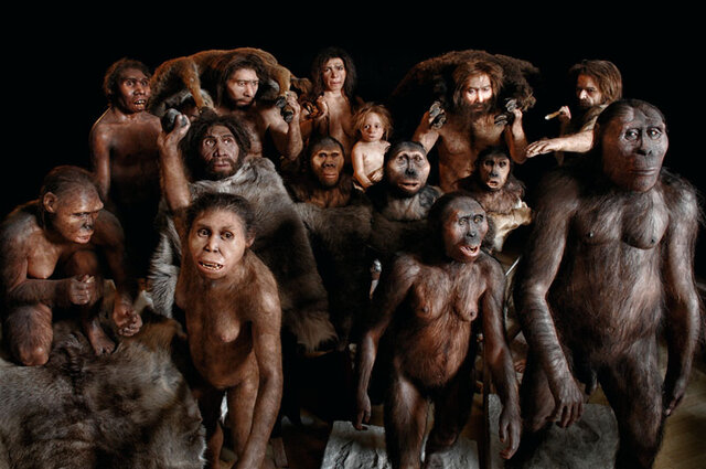 Los humanos evolucionan en África