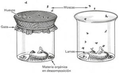 TEORIA DE LA GENERACIÓN ESPONTANEA o ABIOGÉNESIS