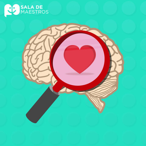 Modelo Matineaud y Engelhartn