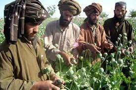 RECURSOS NATURALES Y DE CULTIVO EN AFGANISTAN