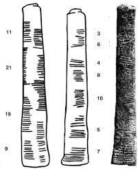 Hueso de pata de babuino
