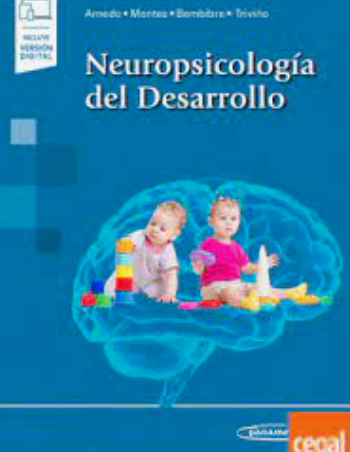 Marisa Arnedo Montoro