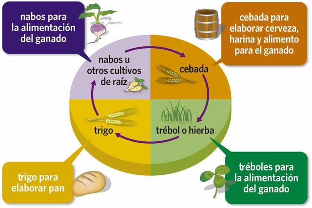 Lord Townshend introduce el Sistema Norfolk en la agricultura.