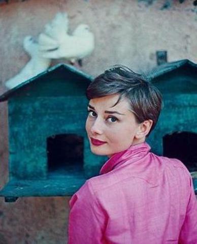 Trabajos esporádicos