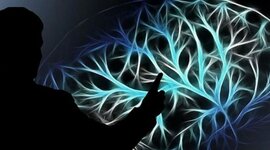 Timeline: La Neuropsicología en el tiempo