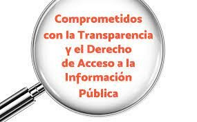 IMPULSO DE LA TRANSPARENCIA Y ACCESO A LA INFORMACIÓNN EN MÉXICO