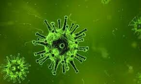 Confinament (COVID-19)