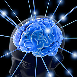 Siglo V a.c Hipótesis cerebral