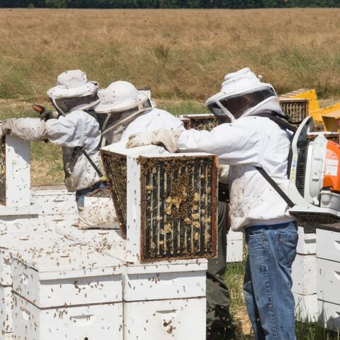 Nathaniel Starts a Business: Generativity vs. Stagnation