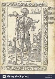Berengario da Carpi
