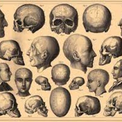 Timeline: EL NACIMIENTO DE LA NEUROPSICOLOGIA