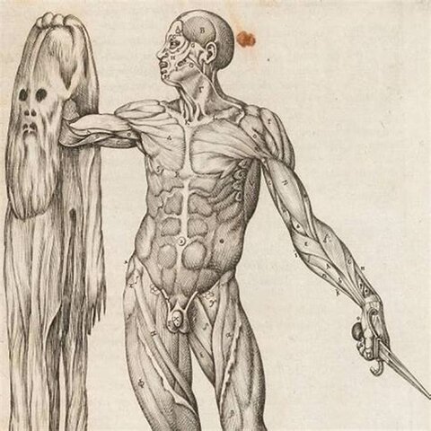 Anatomía General