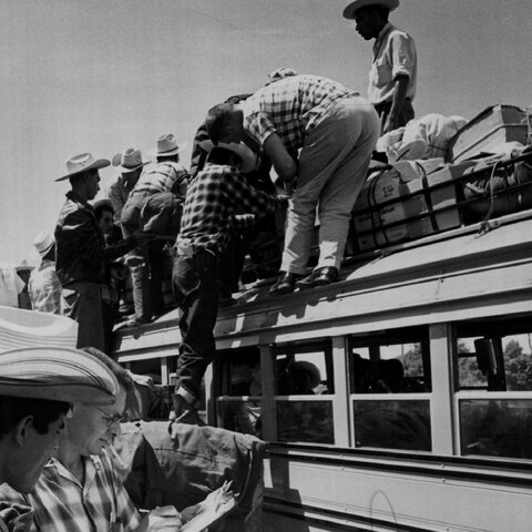 La Operación mojados (Operation Wetback) entra en vigor por el gobierno de Estados Unidos. La iniciativa fue una medida que toma el gobierno para localizar y deportar a los trabajadores indocumentado en un período de cuatro años.