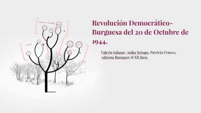 Política Educativa "Revolución Democrático Burguesa