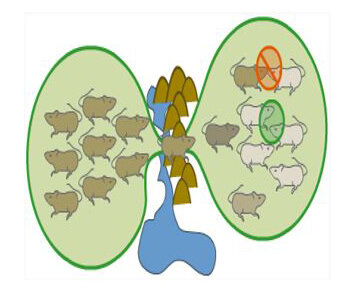 principales aportaciones de Mendel a la Teoría sintética