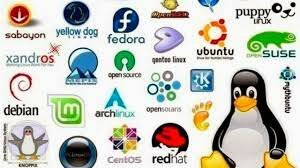 (1983-1985-1990-1991)