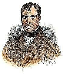 Teoría del Campo Agregado.