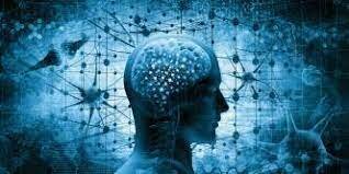 Neuropsicología dinámica (1980)