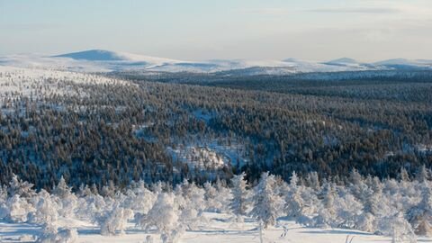Superficies de conservación