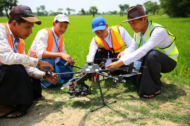Programa forestal nacional (FAO)