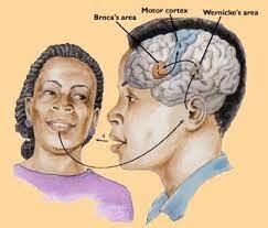 Teoría del Campo Agregado.