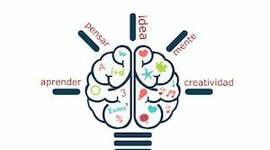 Timeline: LOS INICIOS DE LA PSICOLOGIA