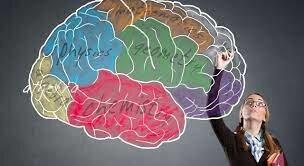 Neuropsicología dinámica