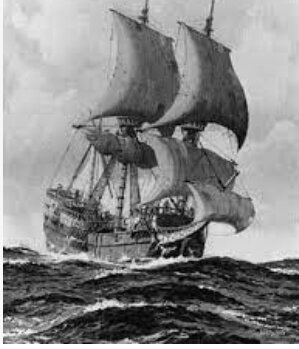 The first fleet landed in Sydney cove