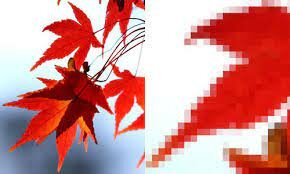 Graficos rasterizados