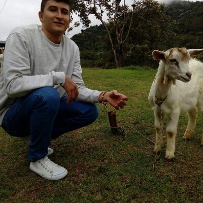 Timeline: my timeline fabian guerrero