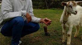 Timeline: my timeline fabian guerrero