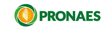 PRONAES