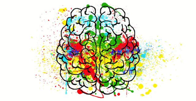 Neuropsicología cognitiva