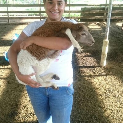 Timeline: farm with my little sheep