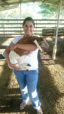 farm with my little sheep