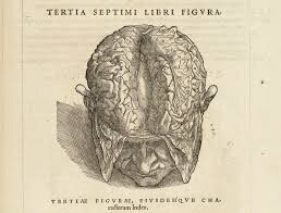 Andres Vesalio